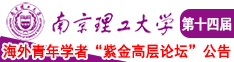 亚洲激情综合啪啪南京理工大学第十四届海外青年学者紫金论坛诚邀海内外英才！